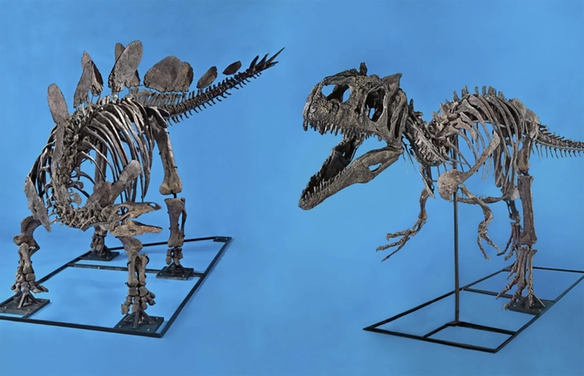 The fighting pair: $3.8 million (£2.9m)